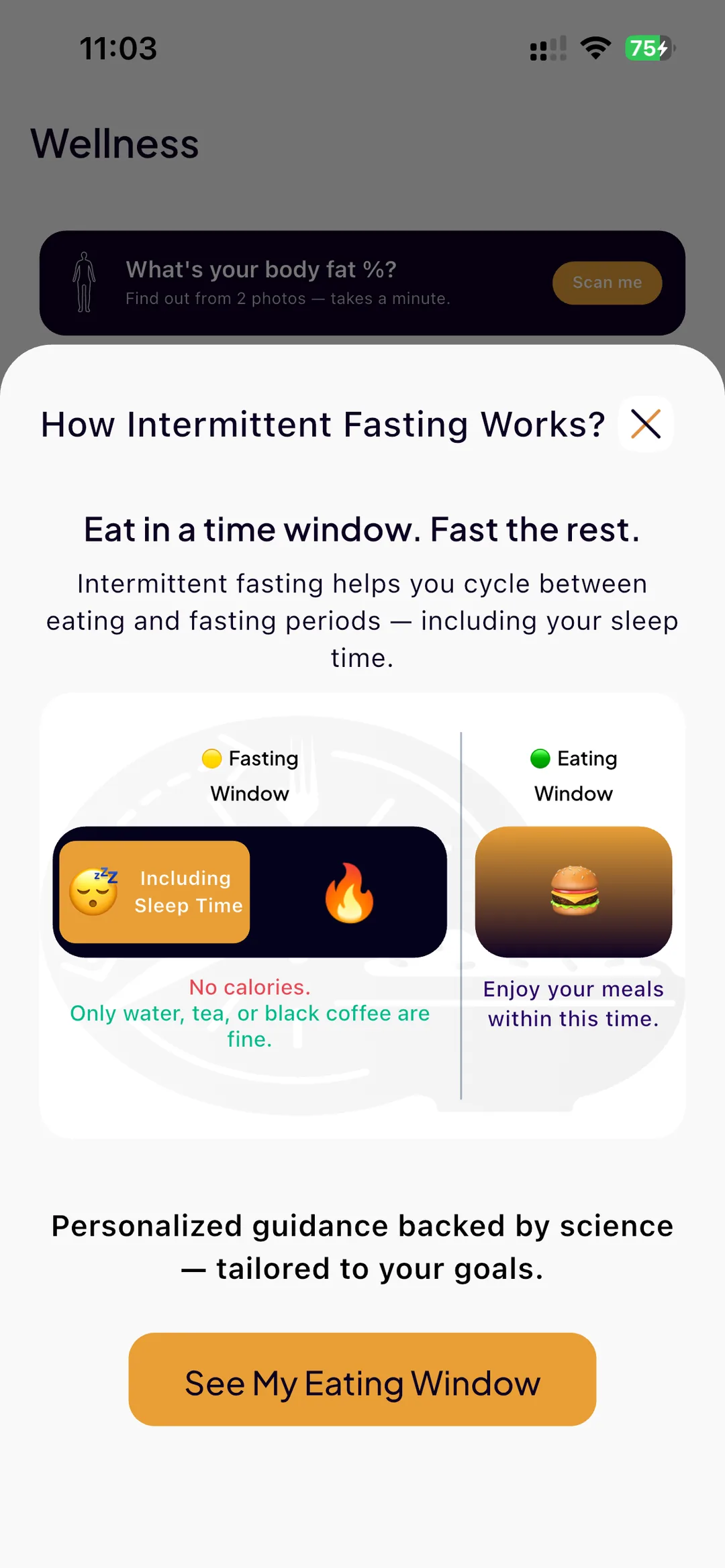 SlimAI explaining intermittent fasting: an eating window and a fasting window that includes sleep, with water, tea or black coffee allowed while fasting